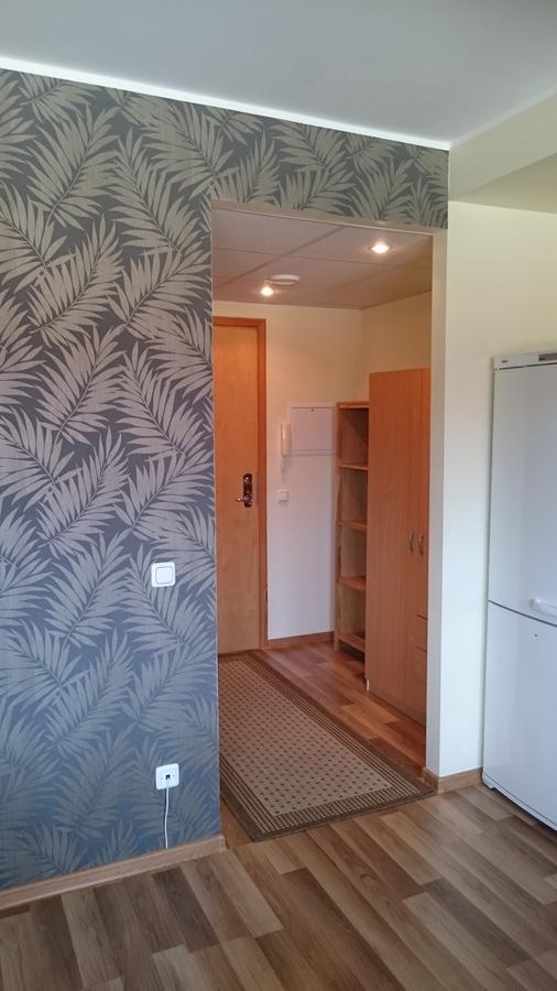 Paernu City Center Apartment מראה חיצוני תמונה